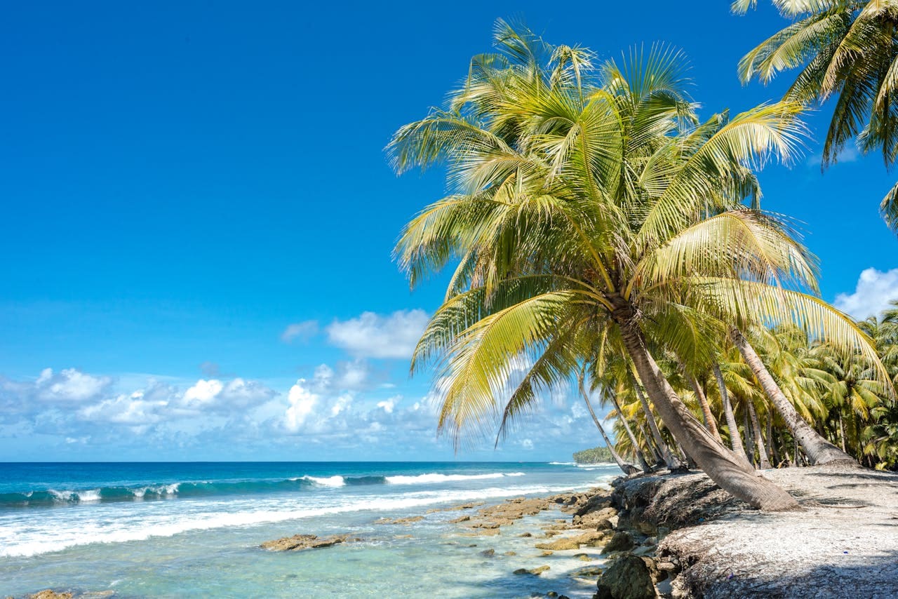 Entdecke die Welt mit YISU Travel